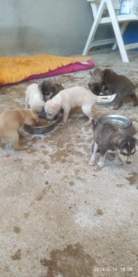 Encontrados en una caja!!!! Encontrados en una caja!!!!